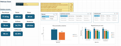 Plantilla - Excel registro de gym