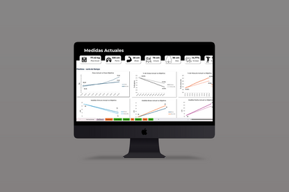 Plantilla - Excel registro de gym